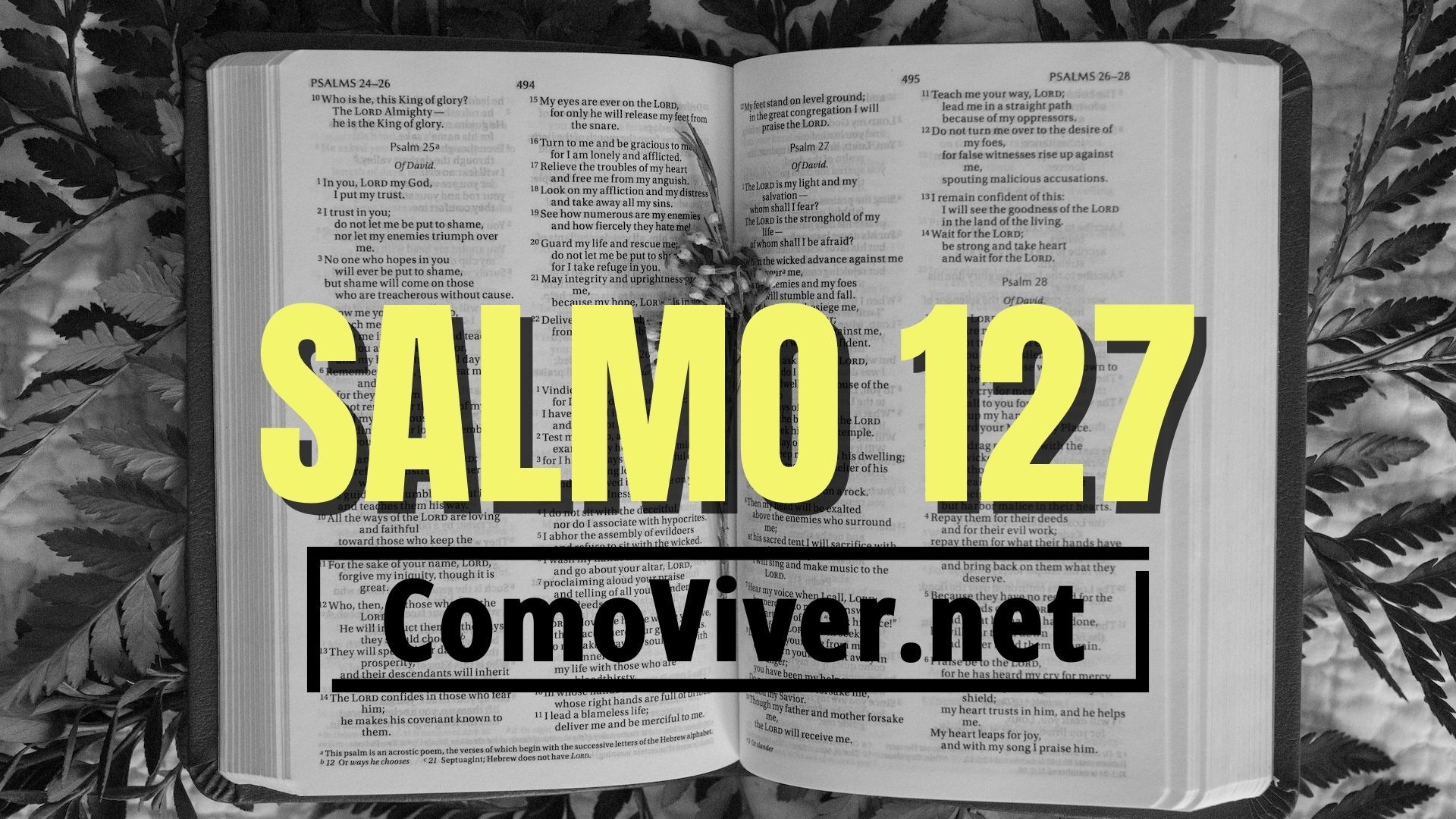 Salmo 127 imagem da bíblia com o número do salmo e endereço do comoviver.net